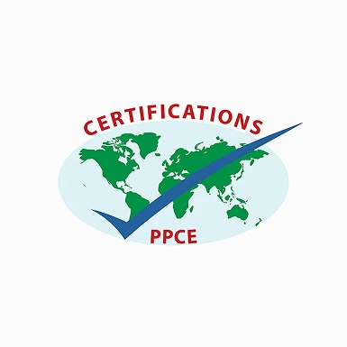 20250805_1213_Enhanced Quality Logo_remix_01k1wfe544fd2t5thd283qecsm